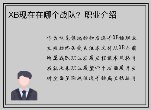 XB现在在哪个战队？职业介绍