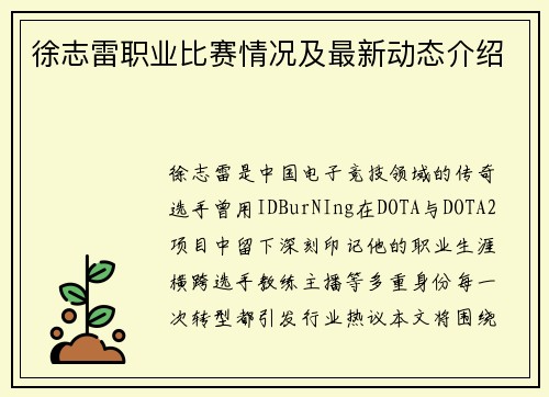 徐志雷职业比赛情况及最新动态介绍